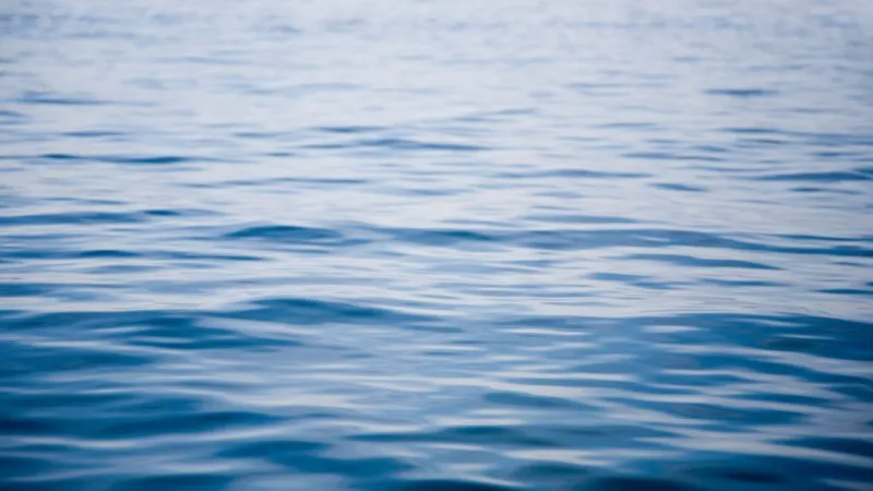 Police identify 20-year-old man after canal body recovery in Lower Valley