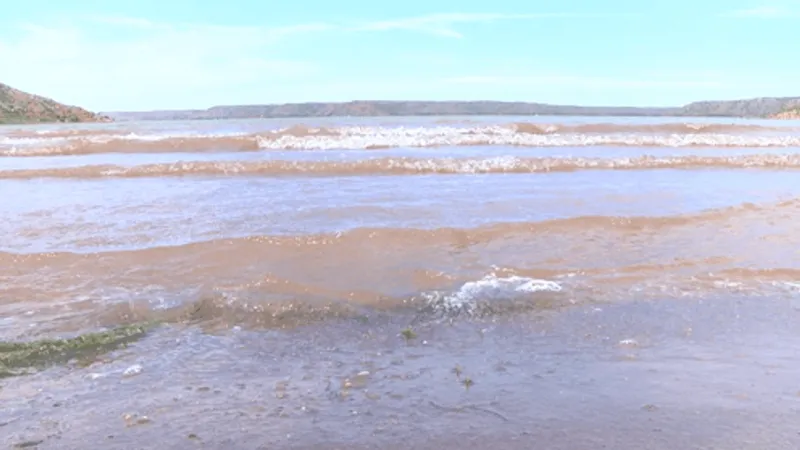 Zebra mussels infest Lake Meredith, officials urge visitors to prevent spread
