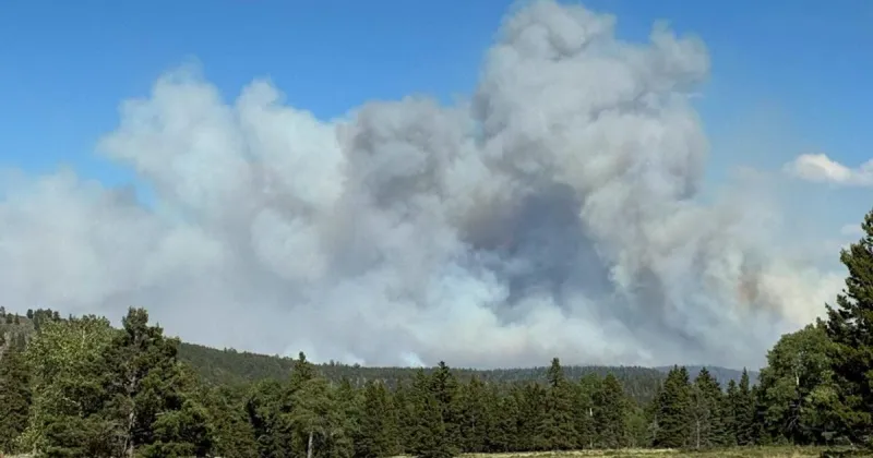Lujan Grisham signs emergency order to direct $500K to wildfires