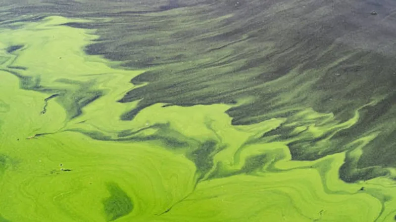 Visitors warned to avoid water at eastern New Mexico lake days before 4th of July