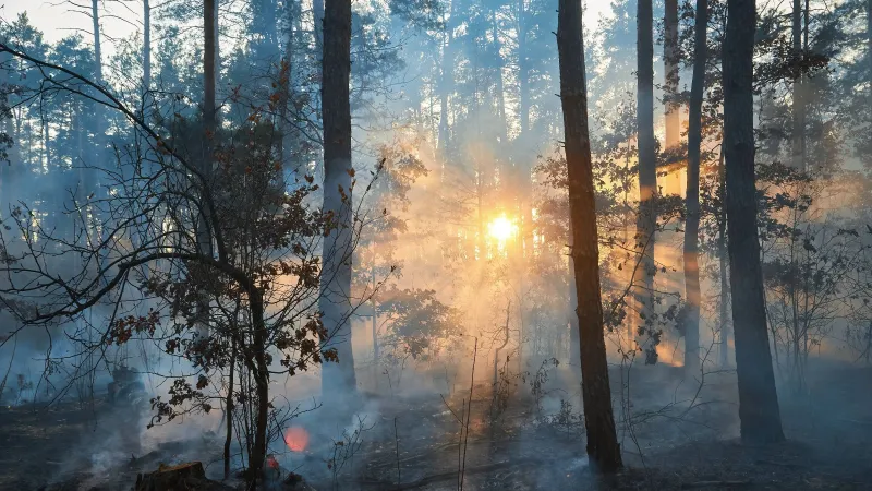 How Will Wildfires Affect My National Park Trip This Summer?