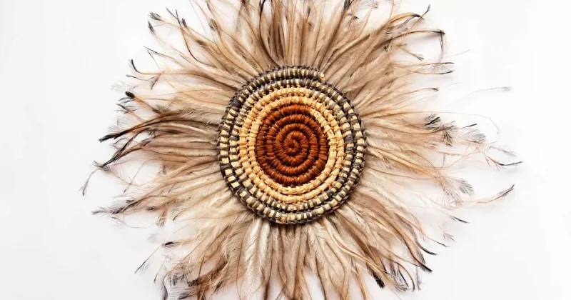 IFAM innovation category winners blend Indigenous knowledge, ecology, history, and modernism
