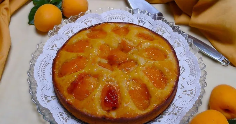 What to do with all those apricots: Make a torte