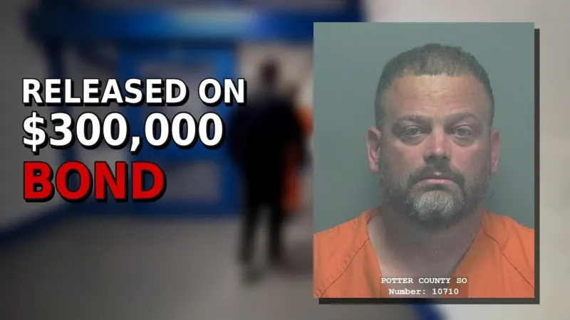 Lamborghini driver charged in deadly hit-and-run released on $300K bond