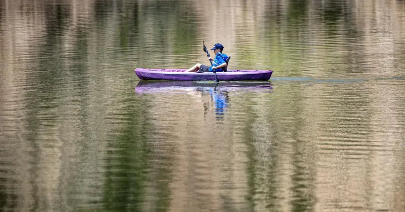 Harmful algal blooms reappear across lakes in New Mexico