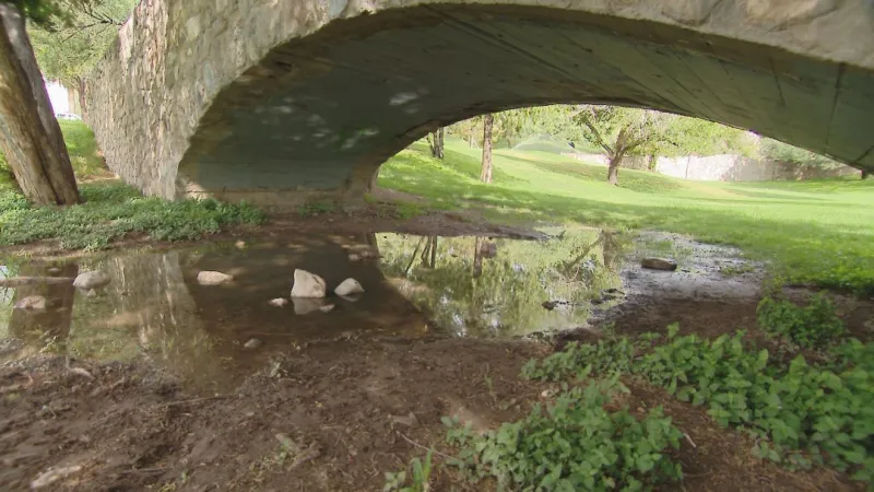 Rainstorms spur mosquito spike across El Paso; residents urged to drain standing water