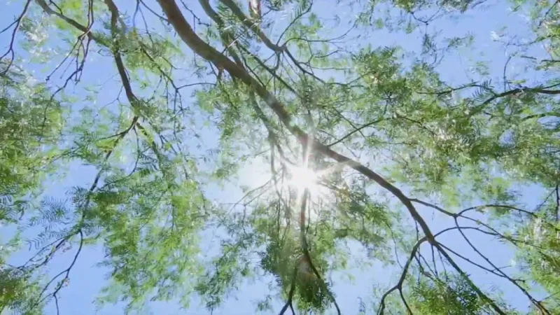 Weather Warn Issued Friday: Extreme Heat to Impact Borderland