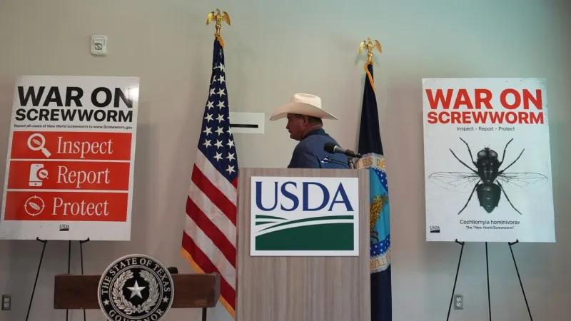 USDA confirms phased reopening of southern cattle ports starting next month