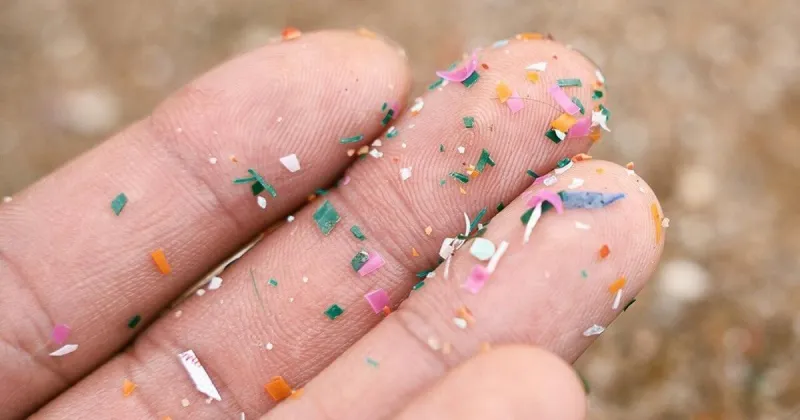 What are the effects of microplastics on bladder health?