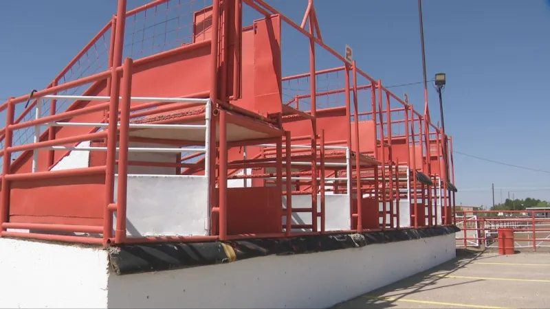 Santa Teresa cattle crossing moves closer to reopening after months-long closure