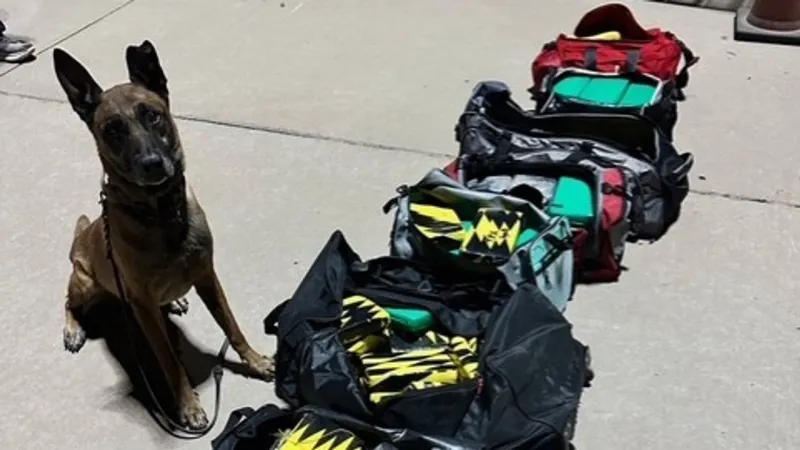 El Paso deputies seizes nearly 120 kilograms of cocaine worth an estimated $4 million