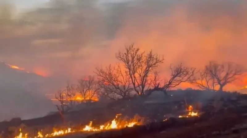 Gov. Abbott activates additional wildfire resources as fire danger rises across Panhandle