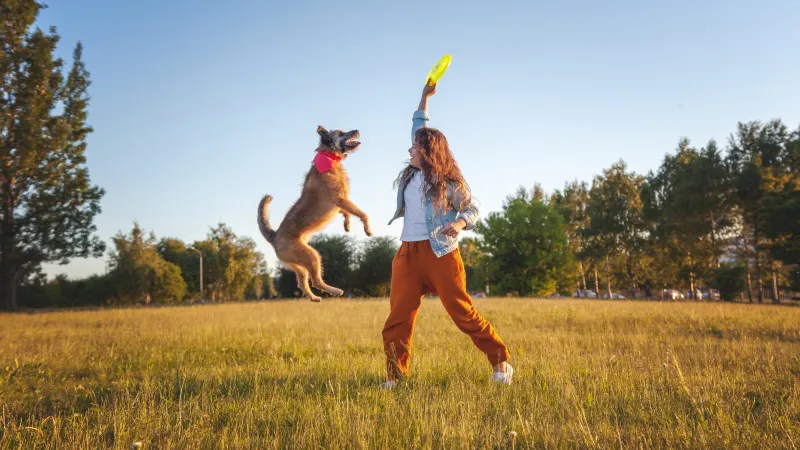 How to Support Your Adventure Dog's Health-Now and for Years to Come