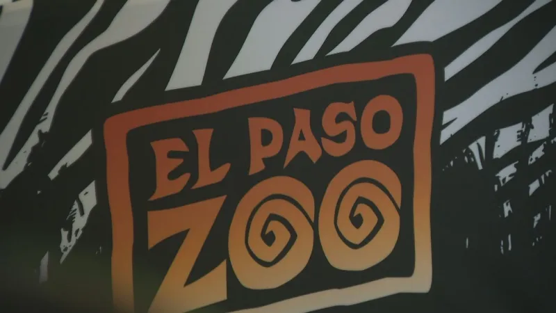 Overnight thunderstorm forces temporary closure of El Paso Zoo and Botanical Gardens