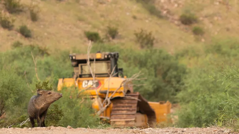 "Warfare on the People." Big Bend Residents Fear the Border Wall Will Cut Off Public Lands.