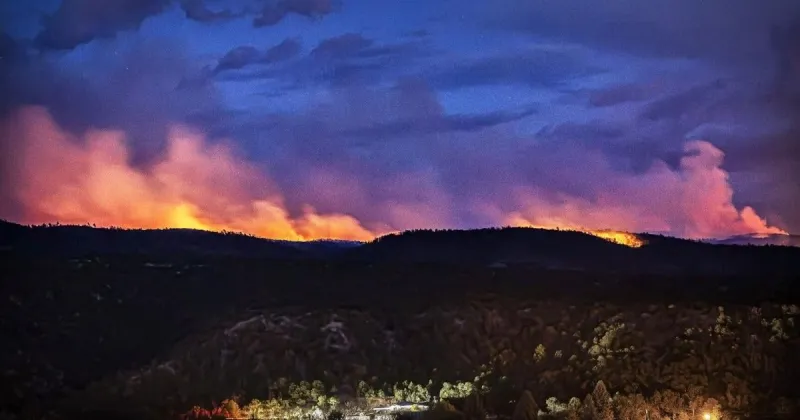 No growth in 7,800-acre Frijoles Fire overnight as Forest Service sends more firefighters