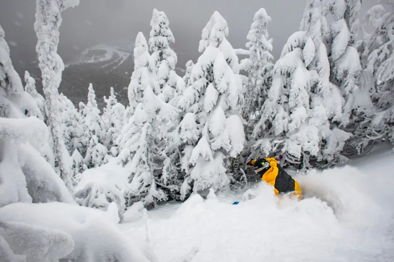The Farmers' Almanac Says This Winter Could Be a Wild Ride for Skiers