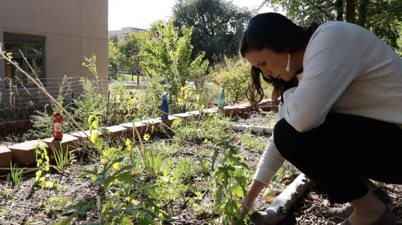 COEHS wellness services strengthen communities, prepare future professionals