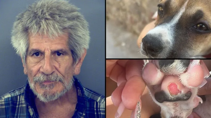 El Paso man with a history of animal cruelty arrested again for allegedly beating puppy