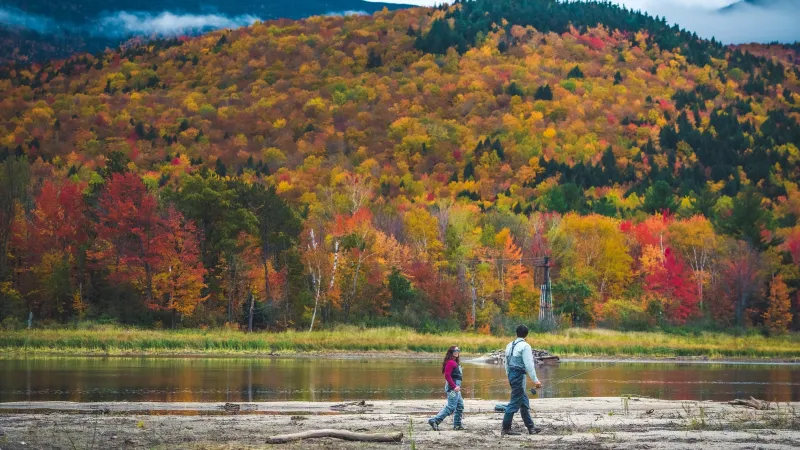 Exactly When the Leaves Will Change This Year, According to the Farmers' Almanac