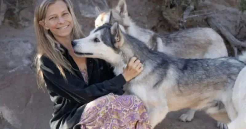 Embudo wolf-dog pack faces scrutiny after six found dead on highway