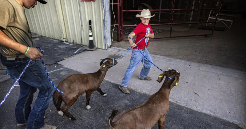 San Juan County prepares for data center proposals as potential economic boost
