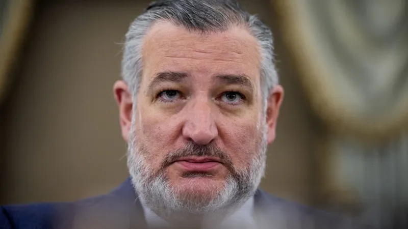 Ted Cruz says the GOP isn't united around JD Vance for the 2028 GOP presidential nominee