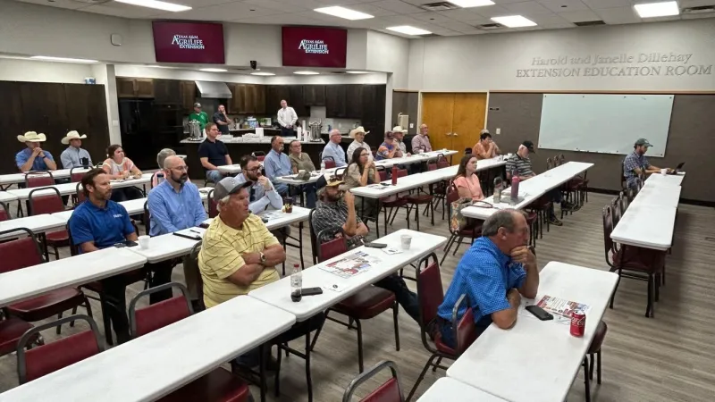 Texas Panhandle wheat growers eye 2027 rebound after punishing 2026 season