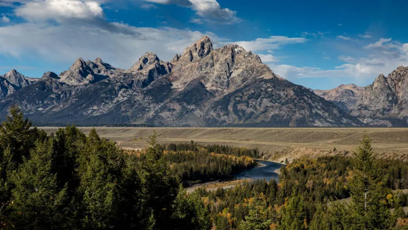 "Disheveled and Scared." Two Brothers' Bear Encounter Ends in a Backcountry Rescue Near Grand Teton.