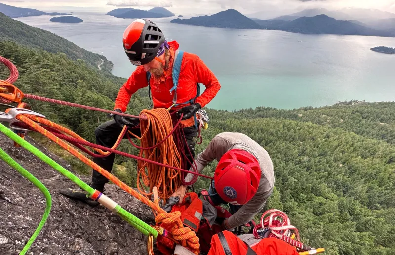Initial Reports Said a Climber Was Stung by Wasps 100 Times. Here's the Real Story.