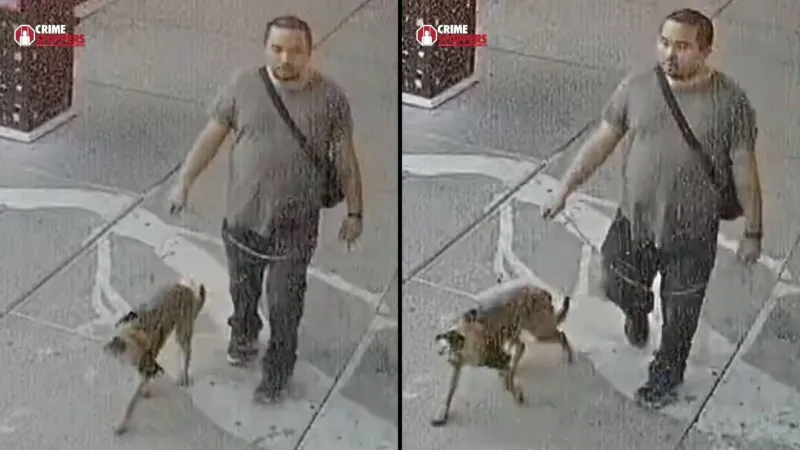 Authorities seek suspect who abandoned a tied-up dog in South Central El Paso