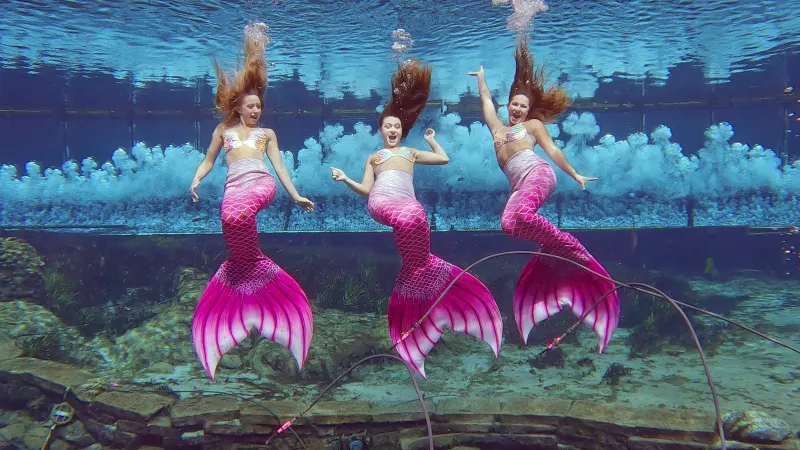 Learning How to Be a Real Mermaid from Florida's Legendary Weeki Watchee Sirens