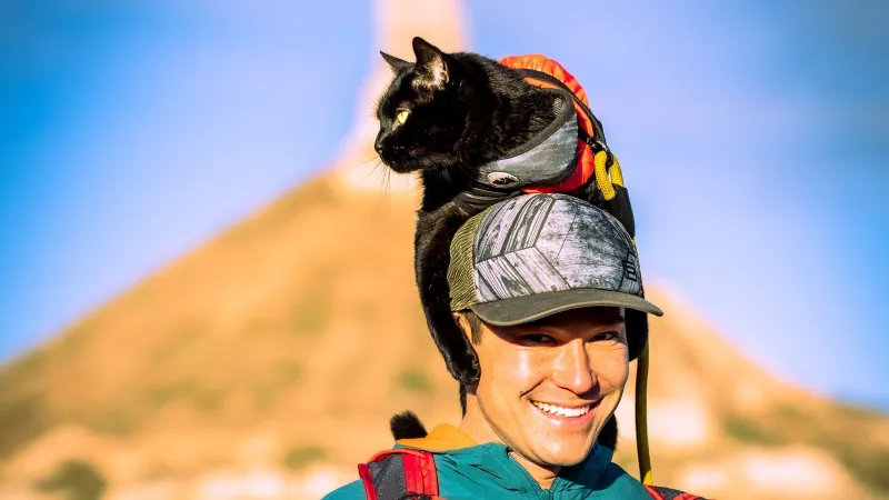 The High-Altitude Journey of the World's Most Famous Adventure Cat