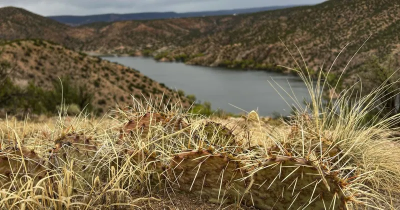Daily rain, heat predicted for New Mexico this week