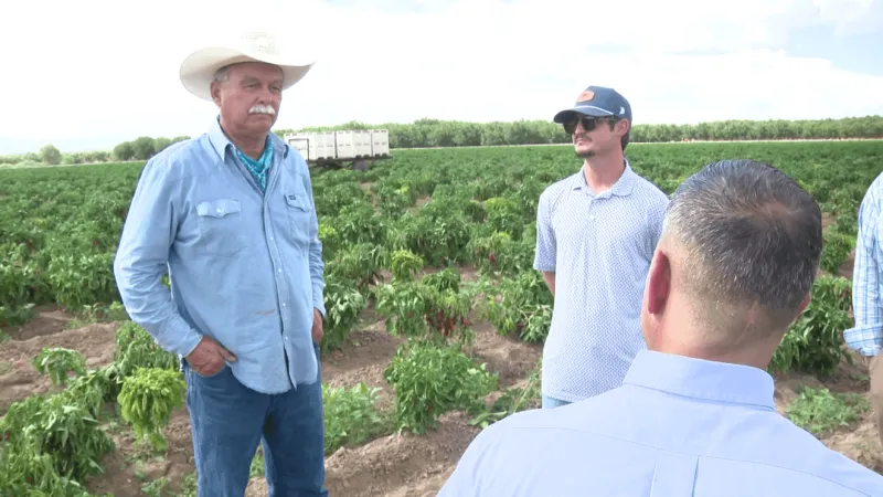 Sen. Ben Ray Lujan hears Southern NM chile growers' concerns over rising costs