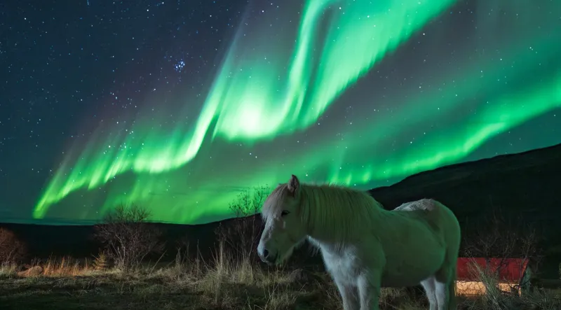 The Aurora Peak Is Over, But You Can Still See the Northern Lights. Here's How.