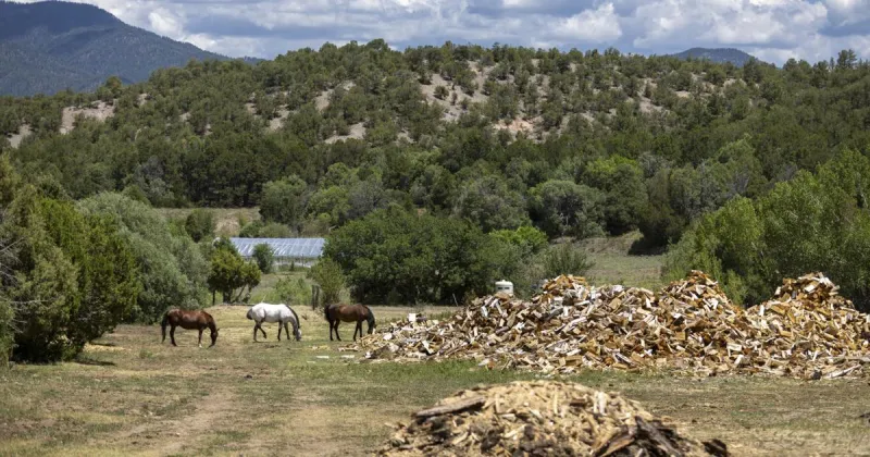 Earth, Wind and Fire: Prescribed burns planned