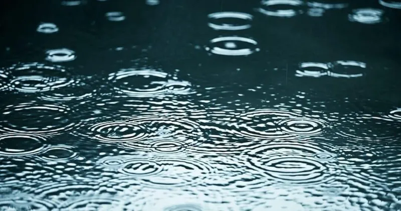 Septembers with the most precipitation in Michigan since 1895