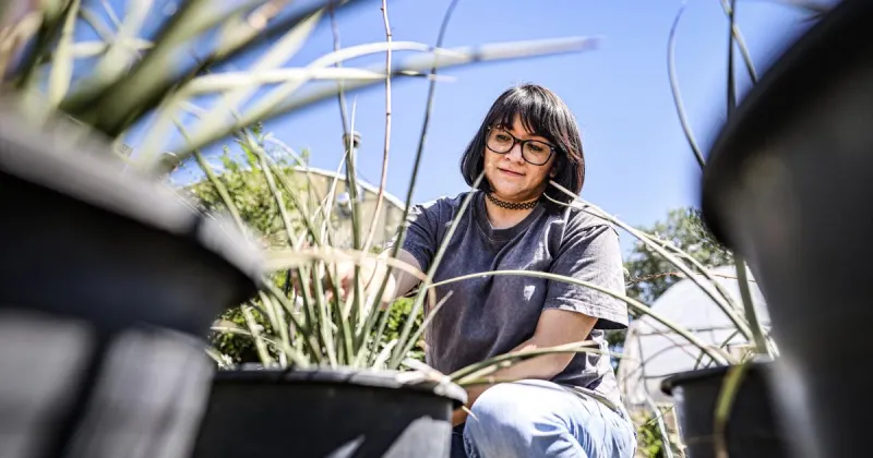 Santa Fe charts path from 'City Dehydrated' to water conservation success story