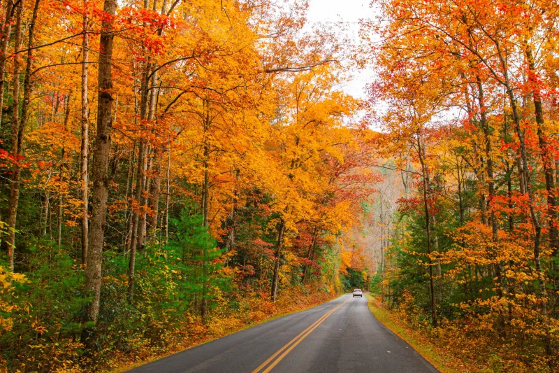 12 Best National Parks for Stunning Fall Colors-and When They Peak