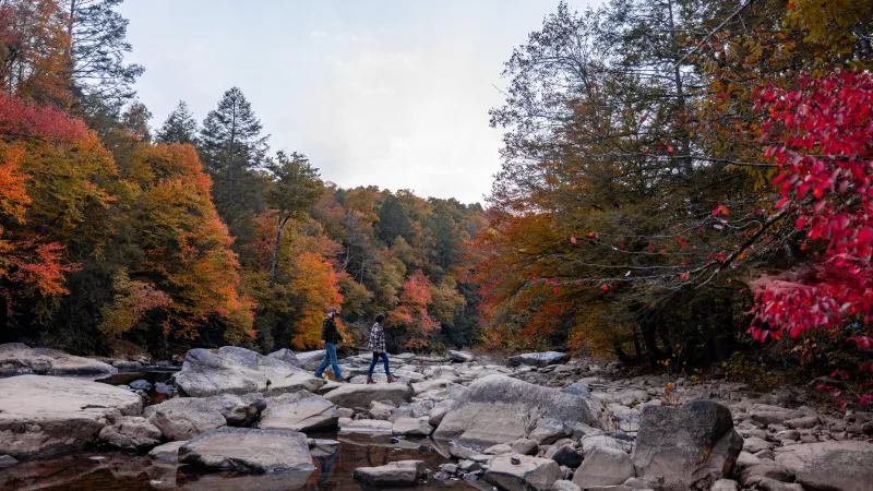 Discover Fall at Its Best in West Virginia's State Parks