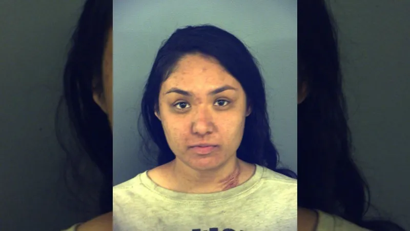 Vanessa Ronnebaum sentenced after guilty plea in El Paso officer-injury crash case
