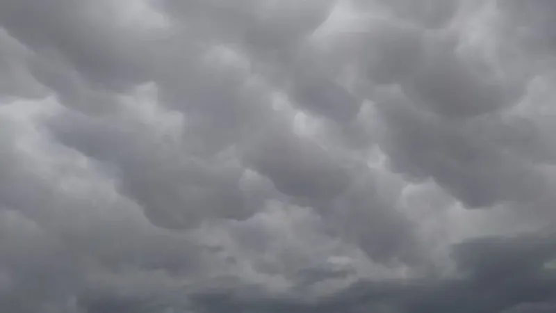 KFOX14 Weather Warn: Heavy Rain, Strong Storms Expected Tuesday and Wednesday