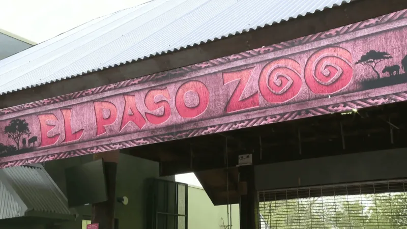 El Paso Zoo hosts 21+ Brew at the Zoo to support conservation programs