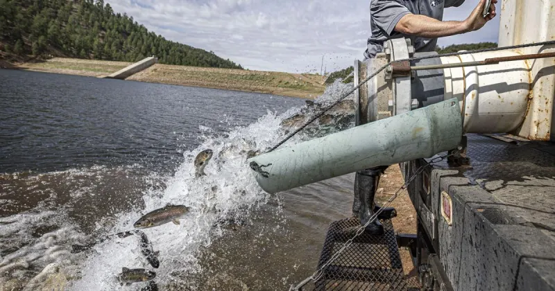 One fish, two fish: Nichols Reservoir stocked with trout for youth fishing derby