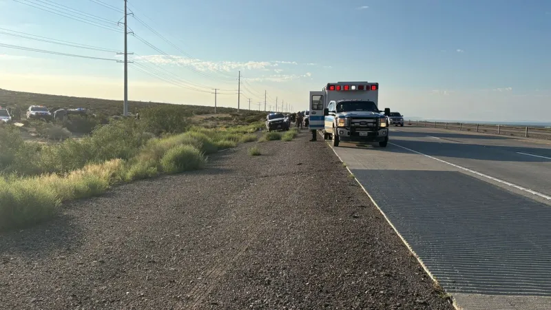 Three in custody after DPS pursuit on I-10 near Fabens