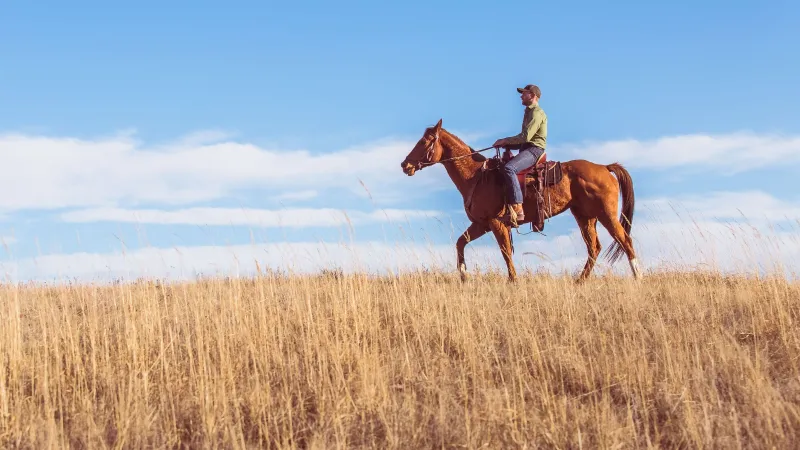 "Deadzoning" in the Wild West: I Tried on Cowboy Life at a Montana Dude Ranch