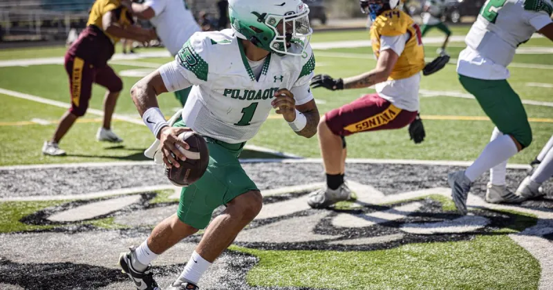Elks quarterback Gonzales shines despite loss to Cardinals