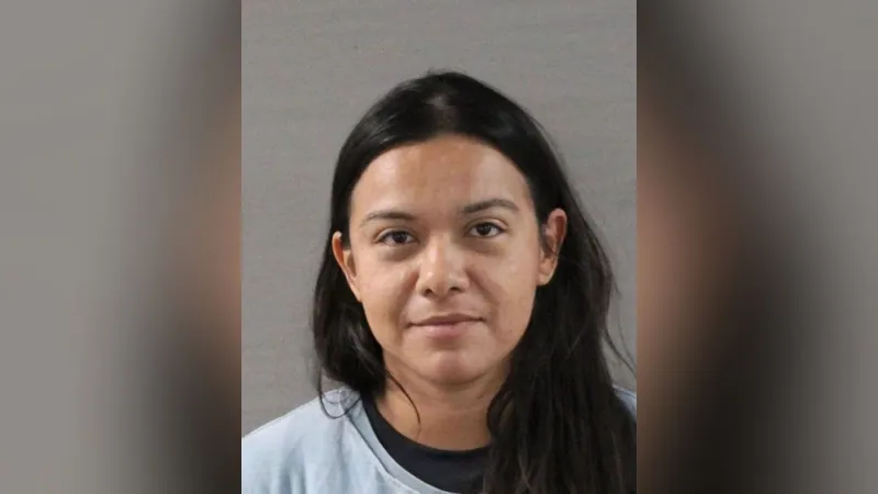 Woman charged after DPS says 12.8 pounds of meth found concealed in plaster