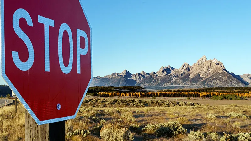 Politicians Cry Foul Over Major League Baseball's National Park Plan